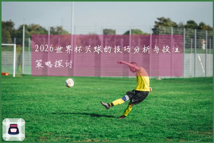2026世界杯买球的技巧分析与投注策略探讨