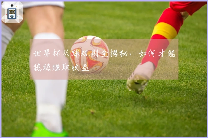 世界杯买球规则全揭秘，如何才能稳稳赚取收益