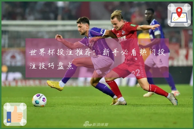 世界杯投注推荐：新手必看热门投注技巧盘点