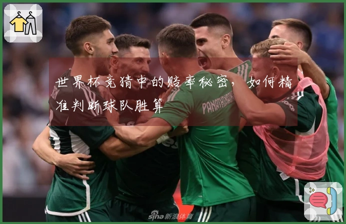 世界杯竞猜中的赔率秘密，如何精准判断球队胜算