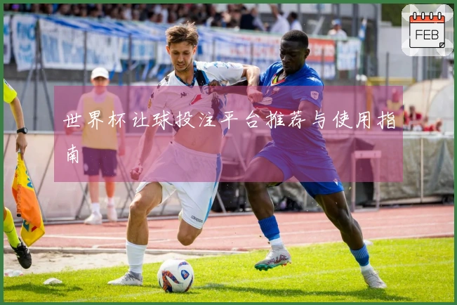 世界杯让球投注平台推荐与使用指南